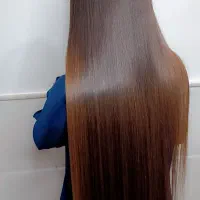 مدل پروتئین و میکروبلدینگ