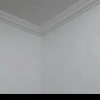 گچکاری و لکه گیری