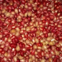 محصولات خانگی|خوردنی و آشامیدنی|القجر, |دیوار