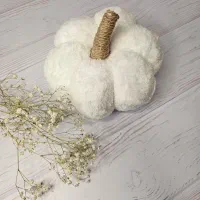 کوسن|صنایع دستی و سایر لوازم تزئینی|شیراز, ریشمک|دیوار