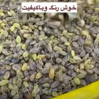 کشمش اعلا درجه آبگیری|عمدهفروشی|پرند, فاز ۶|دیوار