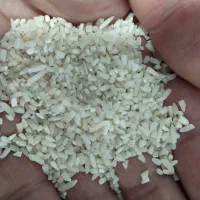 برنج نیمدانه هاشمی خوش عطر و معطر