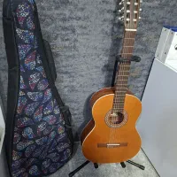 گیتار پارسی D6