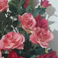 گل و گلدان|گل مصنوعی|قدس, شهرقدس|دیوار