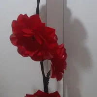 چراغ خواب