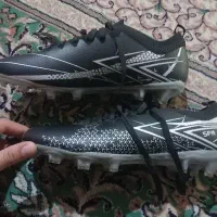 سالم|کیف، کفش، کمربند|گرگان, |دیوار