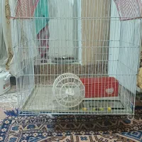 قفسه پرنده