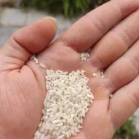 برنج هاشمی درجه یک و نیم دانه