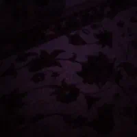 فروش 60جفت پیم قوه