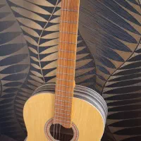 گیتار همراه با کیف