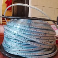 ریسه شلنگی