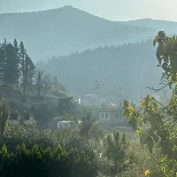 کارگر (سرایدار)