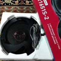 باند پایونیر 1651