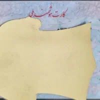 کارت ملی فاطمه محمودی کهن پیدا شده