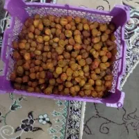 سلام‌الو‌افتابی‌درجه‌یک‌ از کوه‌های‌هزارمسجد|خوردنی و آشامیدنی|مشهد, امیرآباد|دیوار