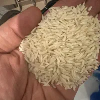 برنج ایرانی محدود فقط ۲۰ کیلو