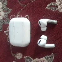 هرپاد