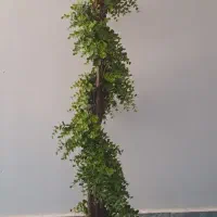 یه عدد گل مصنوعی‌