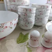 سرویس آرکوپال 6 نفره|ظروف سرو و پذیرایی|تهران, طرشت|دیوار