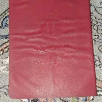 گمشده  شناسنامه