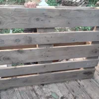 پالت نرادتمیز|خدمات پیشه و مهارت|لاهیجان, لیالستان|دیوار