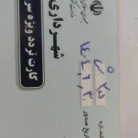راننده خانم هستم برای پیش دبستانی
