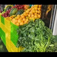 نیروکار ماهر آبمیوه بستنی پاره وقت