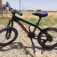 دوچرخه ۲۰دنده ای