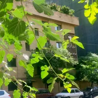 اجاره ۵۲ متر اداری شمال یوسف آباد|اجارهٔ دفتر کار، اتاق اداری، مطب|تهران, یوسف‌آباد|دیوار