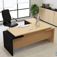 نیروی فروش خانم در شرکت