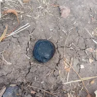 شهاب سنگ|جواهرات|ماهیدشت, |دیوار