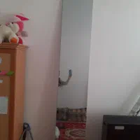 دوعددآیینه قدی ،یک رگال تمام استیل|آینه|اسفراین, |دیوار