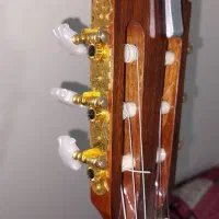 بهترین گیتار برای پیشرفت و حرفه ای شدن|گیتار، بیس، امپلیفایر|کرج, فاز ۲ مهرشهر|دیوار