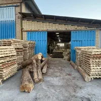 نیروی کار ساده