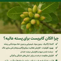 کودهای ارگانیک