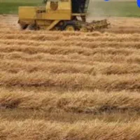 کمباین کلیسون مدل ۵۸|خودرو سنگین|اردبیل, |دیوار