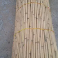 نی فروشی