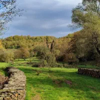 آپارتمان طبقه اول