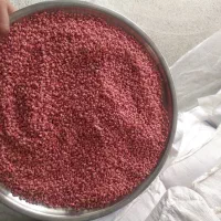 بذر گندم|خدمات باغبانی و درختکاری|محمدبار, |دیوار