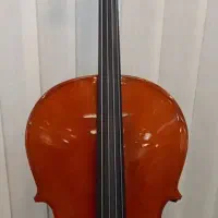 ویلن سل( آماتی)