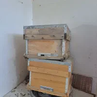 کندو