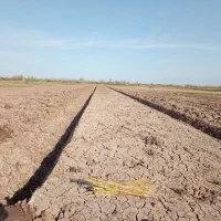 اجاره بیل مکانیکی زنجیری و بلدوزر|خدمات حمل و نقل|رشت, گلسار|دیوار