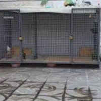 جوشکاری سیارپذیرفته میشود