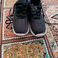 کفش|کیف، کفش، کمربند|بیرجند, |دیوار