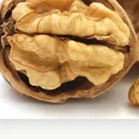 گردو پست کاغزی سفید