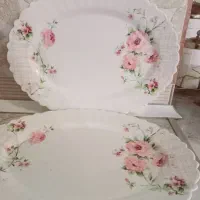 آیروپال طرح سارا آکبند