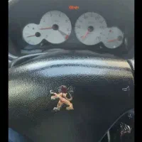 خودرو ۲۰۶ تمیز