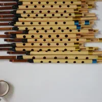 نی تکی جنوبی و نی انبان
