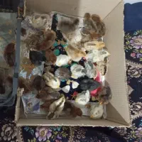 جوجه‌فروشی