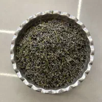 اسطوخودوس اعلاء